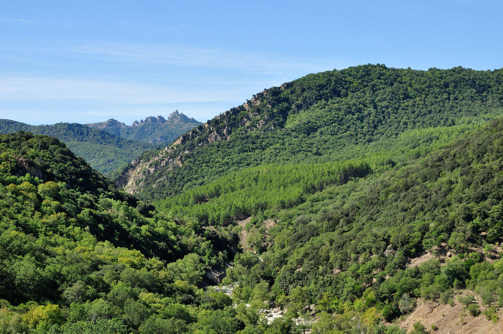 gallipoli cognato park