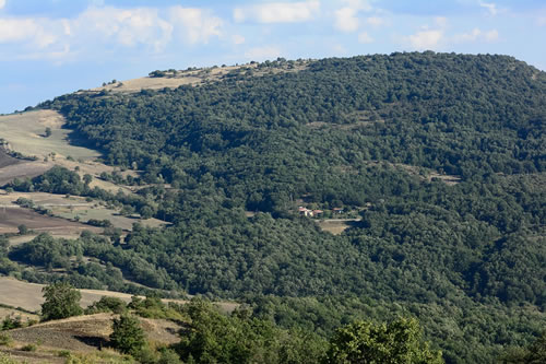 Agriturismo La Dimora dei Cavalieri