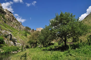 Murgia Park - Matera