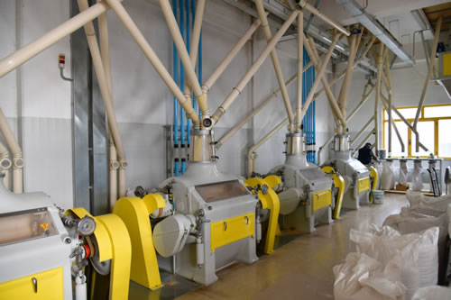 Mill producing durum wheat semolina