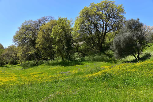 Agriturismo La Dimora dei Cavalieri