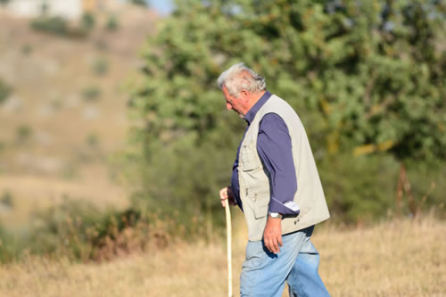 Canio Ricciuti Farm