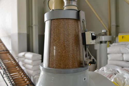 Mill producing durum wheat semolina