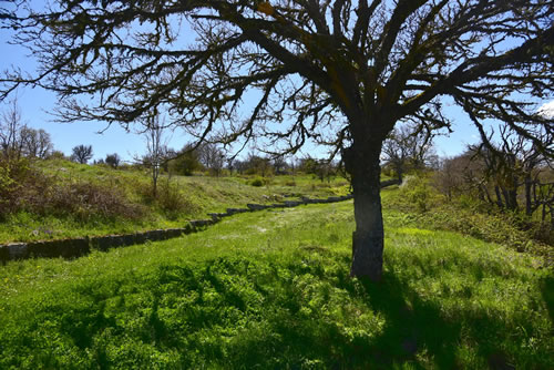 Agriturismo La Dimora dei Cavalieri - Paesaggio