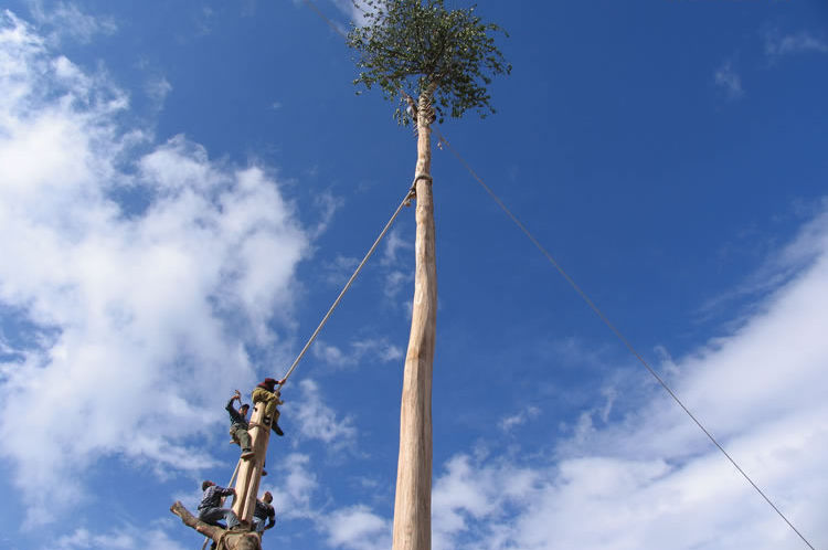 Il rito arboreo del Maggio