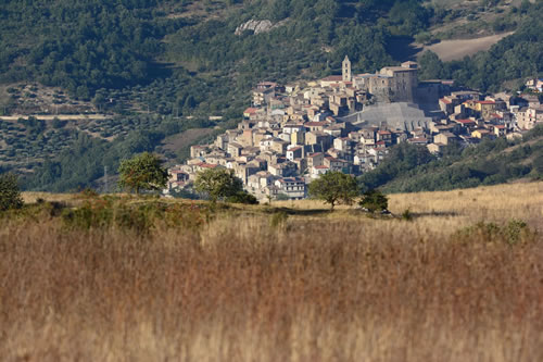 Agriturismo La Dimora dei Cavalieri - Paesaggio