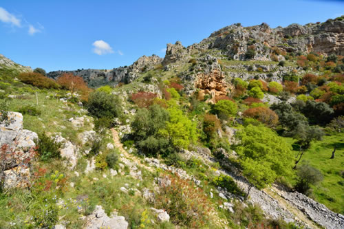 Murgia Park - Matera