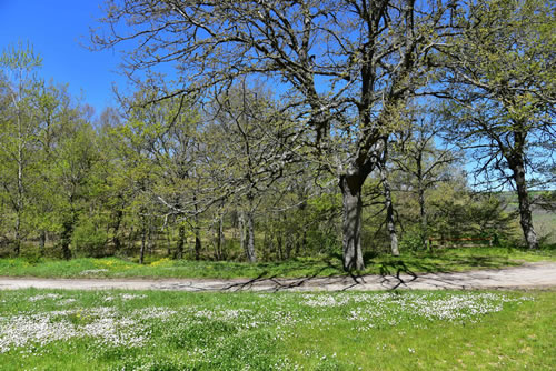 Agriturismo La Dimora dei Cavalieri - Vaglio Basilicata