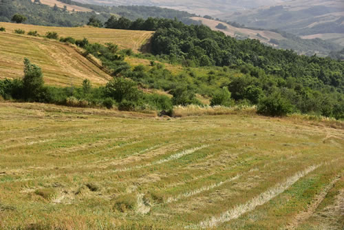 Agriturismo La Dimora dei Cavalieri - Il Monte Vulture all’orizzonte