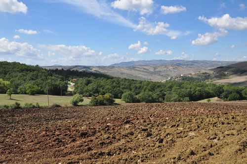 Agriturismo La Dimora dei Cavalieri - Vaglio Basilicata