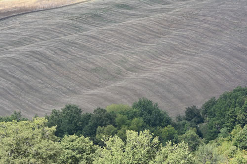 Agriturismo La Dimora dei Cavalieri - Pietragalla