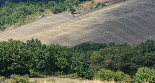 paesaggio