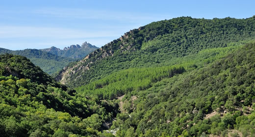 il parco di gallipoli cognato