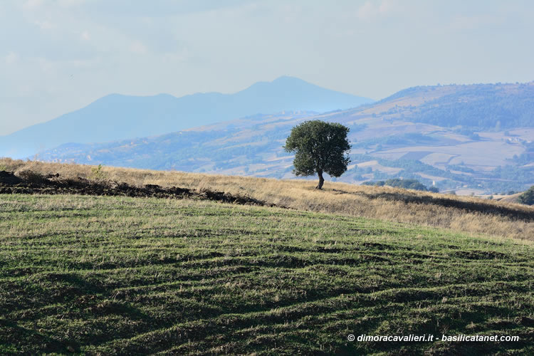 Paesaggio Agriturismo La Dimora dei Cavalieri Vaglio Basilicata