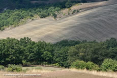 Agriturismo La Dimora dei Cavalieri - Paesaggio