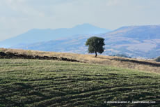 Agriturismo La Dimora dei Cavalieri - Il Monte Vulture all’orizzonte