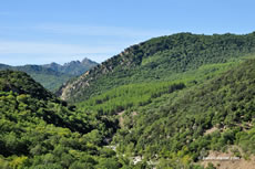 Agriturismo La Dimora dei Cavalieri - Paesaggio Dolomiti Lucane